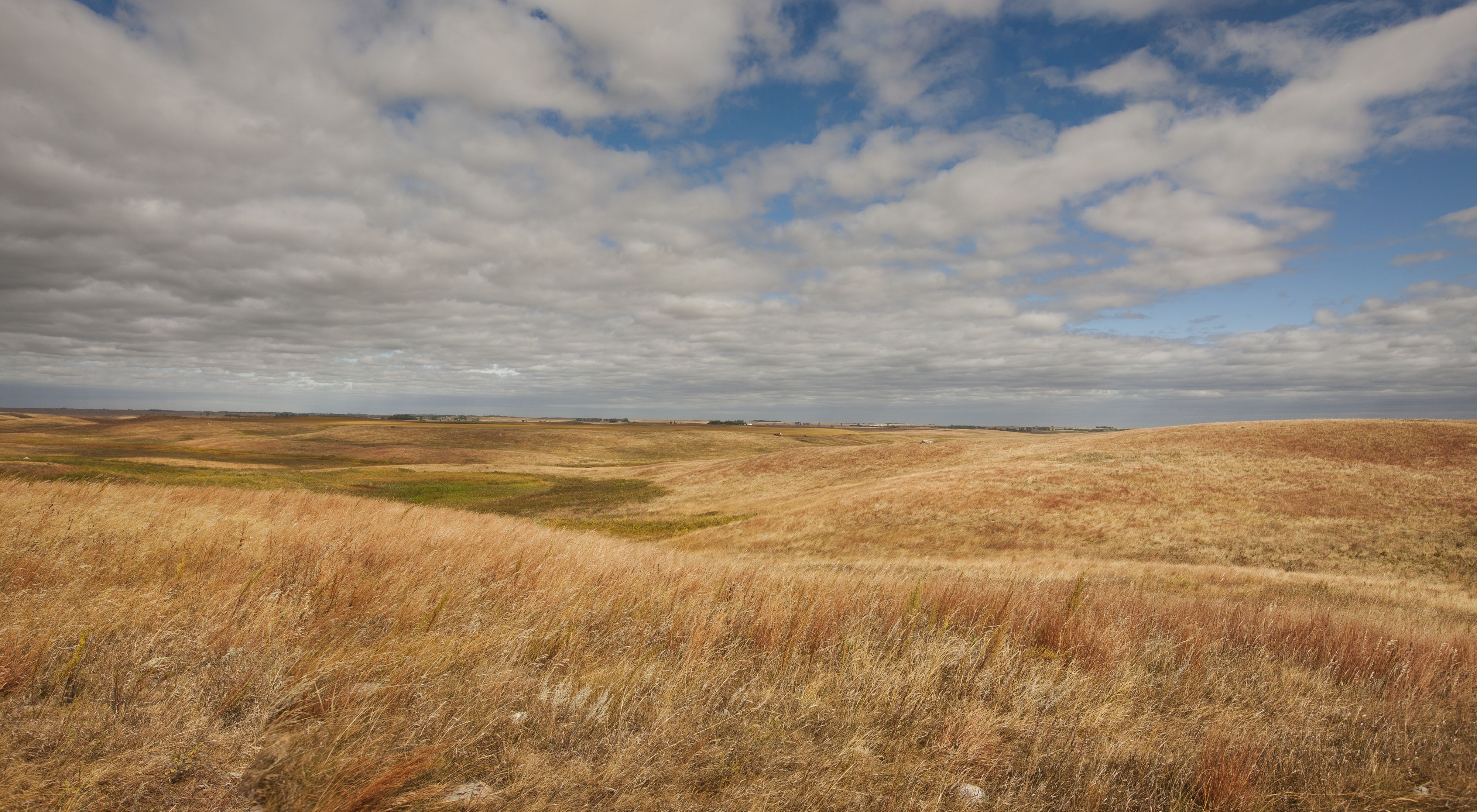 south dakota ag